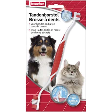 Brosse à dents pour chat et chien