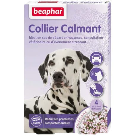 Collier calmant pour chien