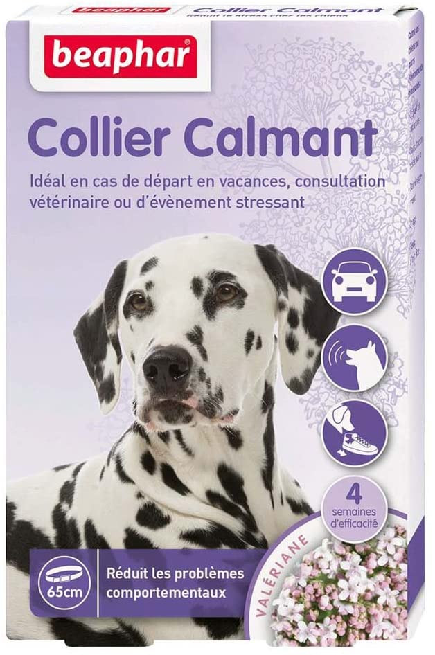 Collier calmant valériane pour chien