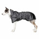Manteau imperméable pour chien