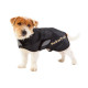 Manteau pour chien hugo back on track