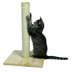 Arbre à chat Parla, poteau griffoir - Beige 62cm