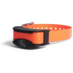 Collier Supplementaire pour collier de dressage Sportdog 450m