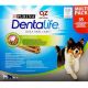 Battonnet dentaire pour chien Dentalife Multi Pack : Medium