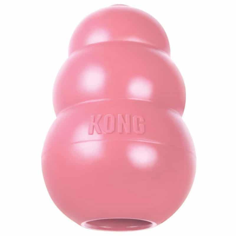 Kong Puppy (junior) - Jouet pour chiot très solide