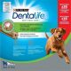 Dentalife Grand FormatGRANDS CHIENS (1272 Gr)