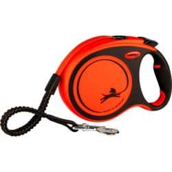 Flexi XTREME, Sangle 5 M Noir / Orange : L