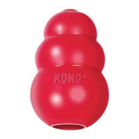 Jouets Kong