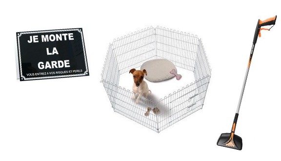 Accessoires maison et jadin chien