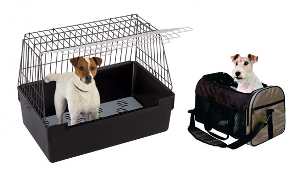 Accessoires de transport pour chien
